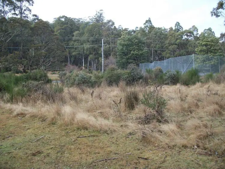 Third view of Homely land listing, 45 Lee Street, Rossarden TAS 7213