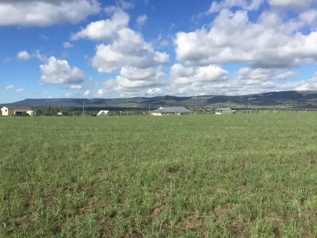 Fourth view of Homely land listing, Lot 311, 42 Allan Cunningham Road, Scone NSW 2337