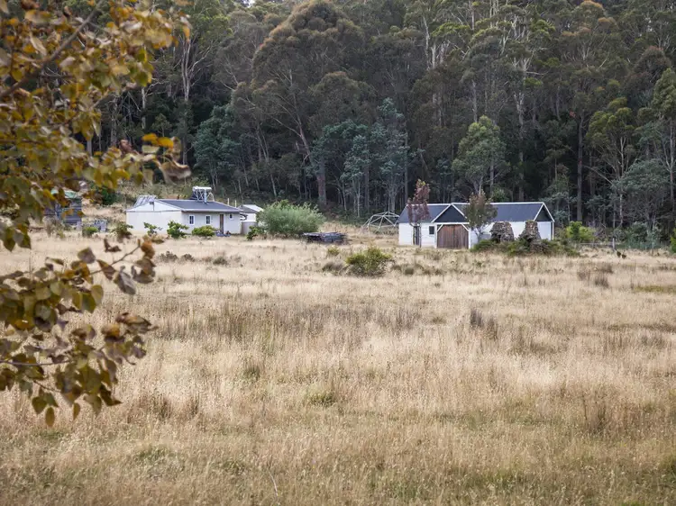 Main view of Homely house listing, 689 Sawpit Hill Road, Blessington TAS 7212