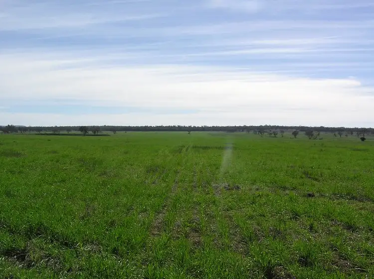 Sixth view of Homely rural property listing, WENETER PARK  1077 Watermark Rd, Gunnedah NSW 2380