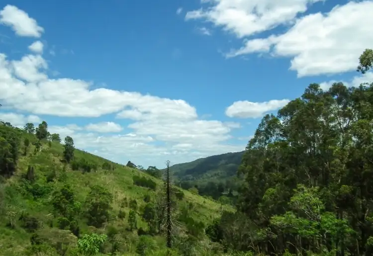 Third view of Homely land listing, 894 Cedar Creek Rd, Gheerulla QLD 4574