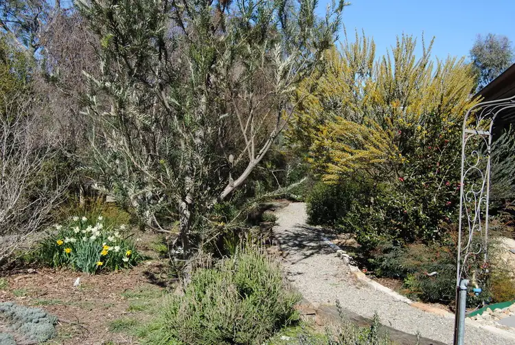 Sixth view of Homely rural property listing, 59 Franks Road, Chiltern Valley VIC 3683