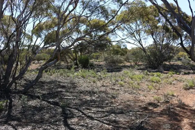 Seventh view of Homely land listing, Lot 10 Winter Road, Bower SA 5374