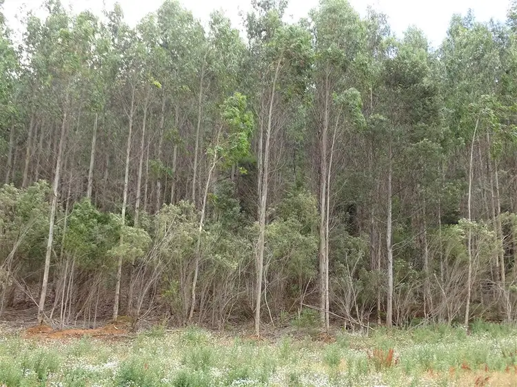 Third view of Homely land listing, . Lobster Creek Road, West Ulverstone TAS 7315