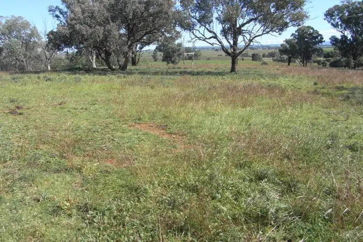 Seventh view of Homely rural property listing, 907 Darbys Falls Road, Cowra NSW 2794