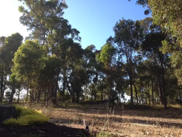 Main view of Homely land listing, 28 Honeysuckle Glen, Cowaramup WA 6284