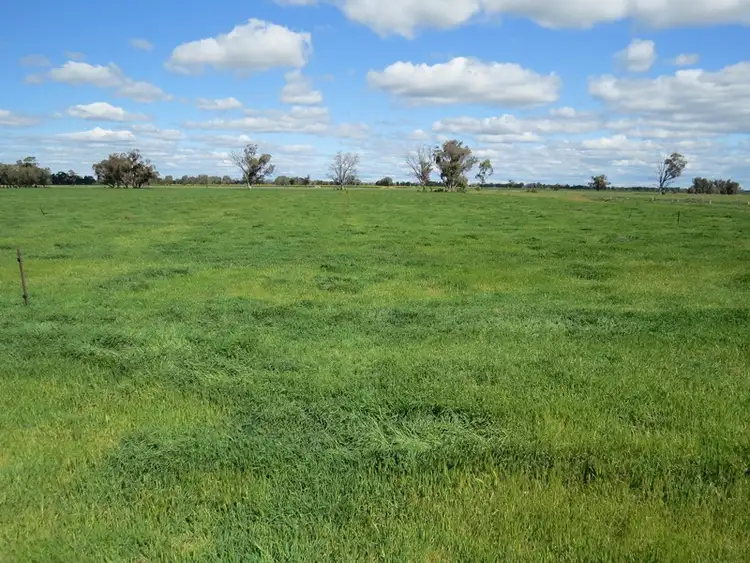 Main view of Homely rural property listing, 193 Allens Road, Numurkah VIC 3636