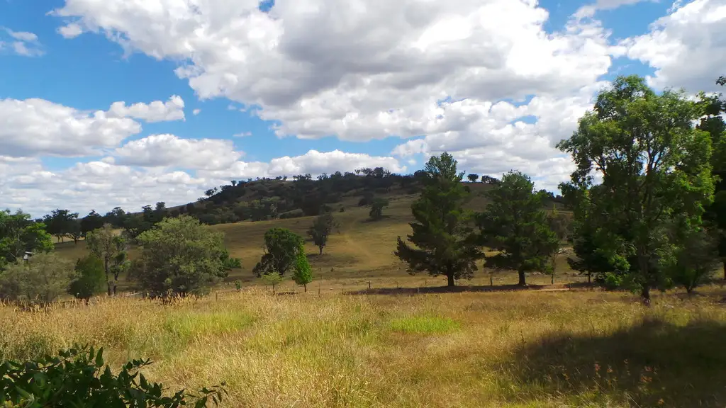 Main view of Homely rural property listing, 339 box forest road, Uralla NSW 2358