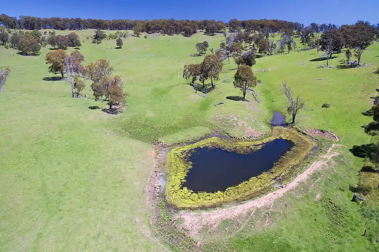 Main view of Homely rural property listing, 566 Brentwood Road, Guyra NSW 2365