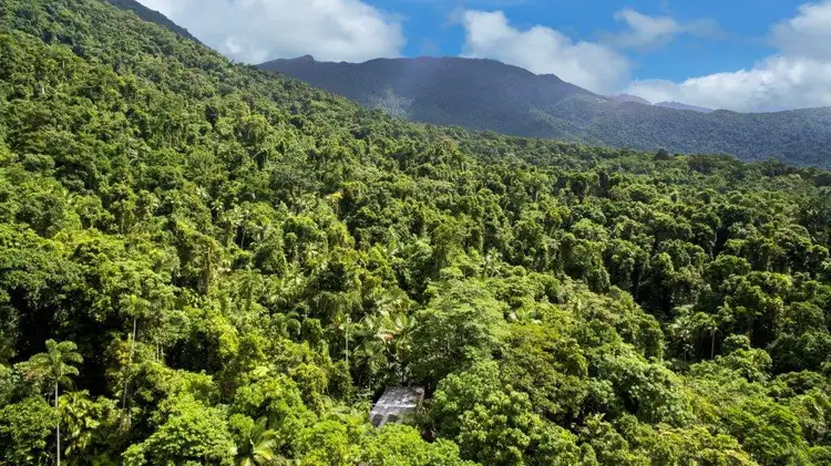 Fifth view of Homely house listing, 71 Candlenut Road, Daintree QLD 4873