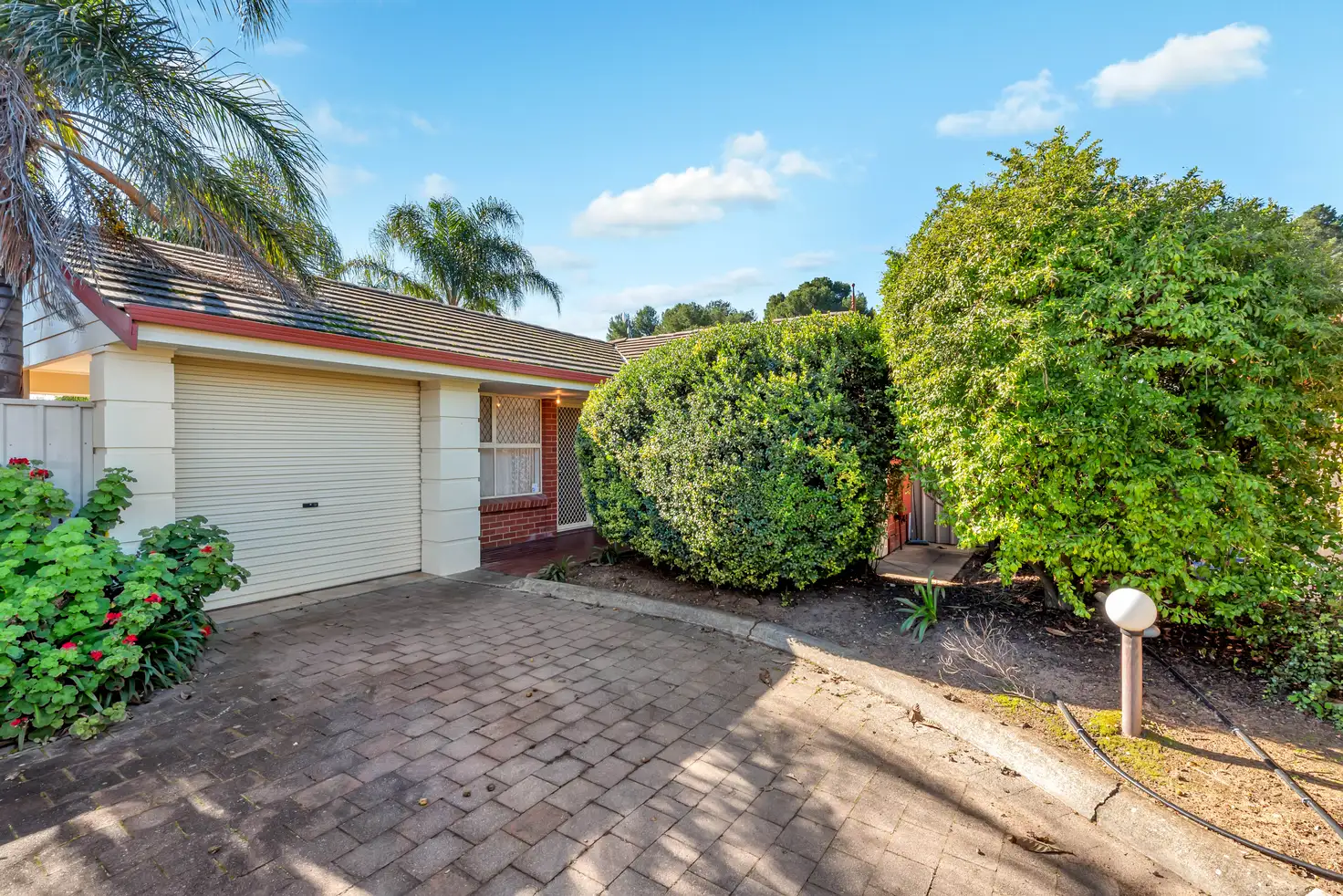 Main view of Homely unit listing, 3/169 Gorge Road, Paradise SA 5075