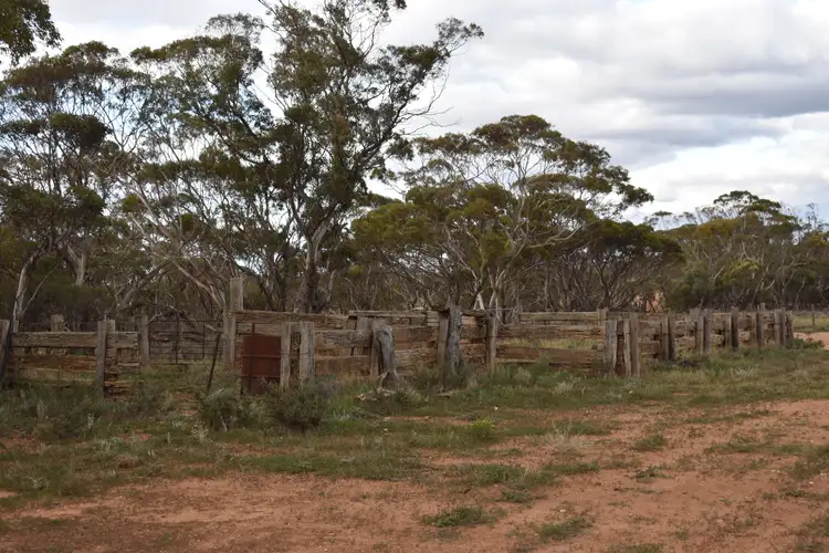 Fourth view of Homely land listing, LOT 135 Pine Hut Road, Sedan SA 5353