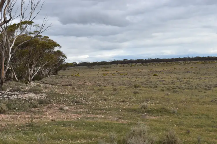 Seventh view of Homely land listing, LOT 135 Pine Hut Road, Sedan SA 5353