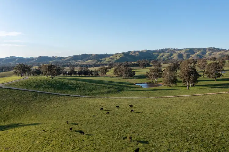 Main view of Homely rural property listing, 2222 Goulburn Valley Hwy, Alexandra VIC 3714