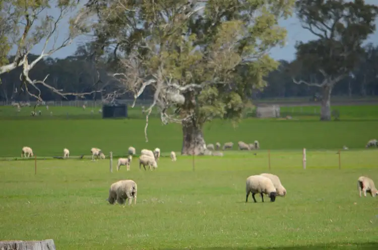 Second view of Homely rural property listing, Section 398 Jessie Road, Naracoorte SA 5271