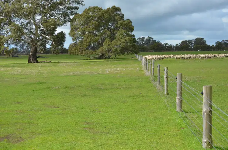 Fifth view of Homely rural property listing, Section 398 Jessie Road, Naracoorte SA 5271