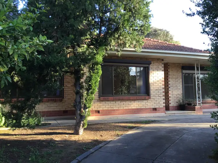 28 George Street, Paradise SA 5075