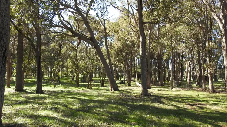 Fifth view of Homely rural property listing, 42 Thomson Road, Bramley WA 6285