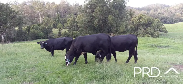 Fifth view of Homely rural property listing, Address available on request