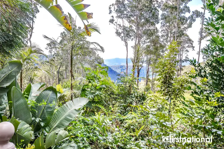 Fourth view of Homely house listing, 102 Wongawallan Road, Tamborine Mountain QLD 4272