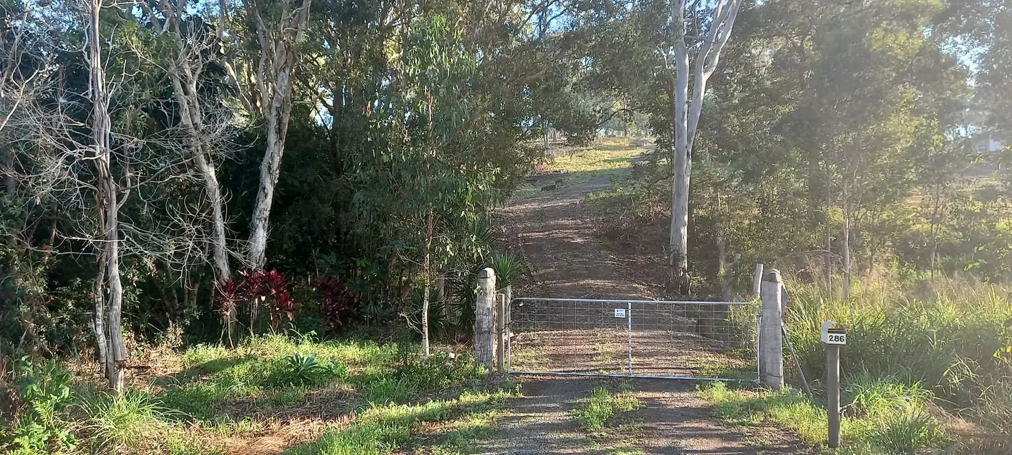 Main view of Homely land listing, 286 Old Creek Road, Childers QLD 4660