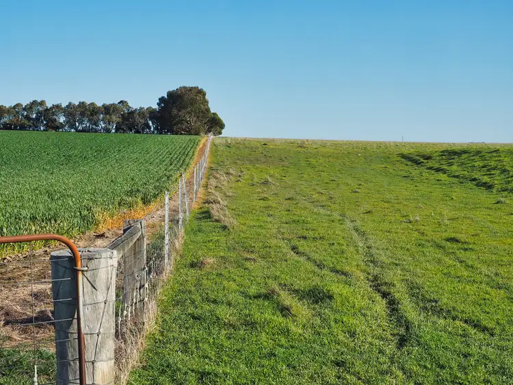 Fourth view of Homely rural property listing, 6640 Mortlake-Ararat Road, Rossbridge VIC 3377