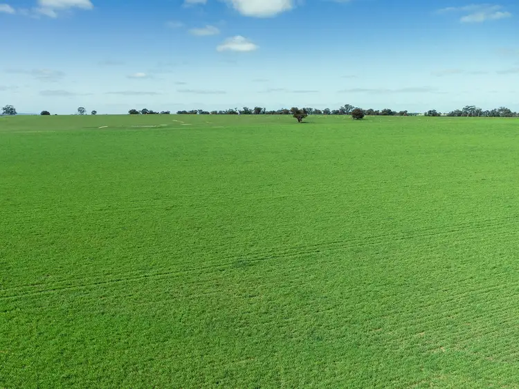 Third view of Homely rural property listing, 0 "Misery" Donald-Stawell Road, Callawadda VIC 3387
