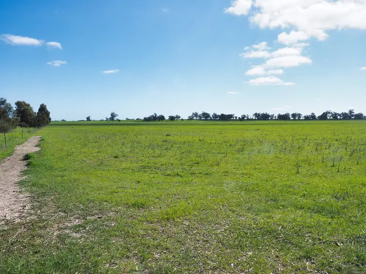 Sixth view of Homely rural property listing, 0 "Misery" Donald-Stawell Road, Callawadda VIC 3387