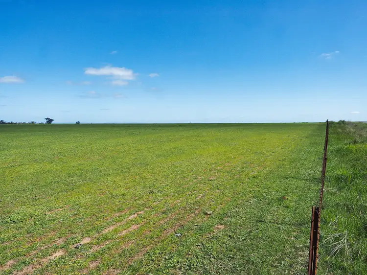 Seventh view of Homely rural property listing, 0 "Misery" Donald-Stawell Road, Callawadda VIC 3387