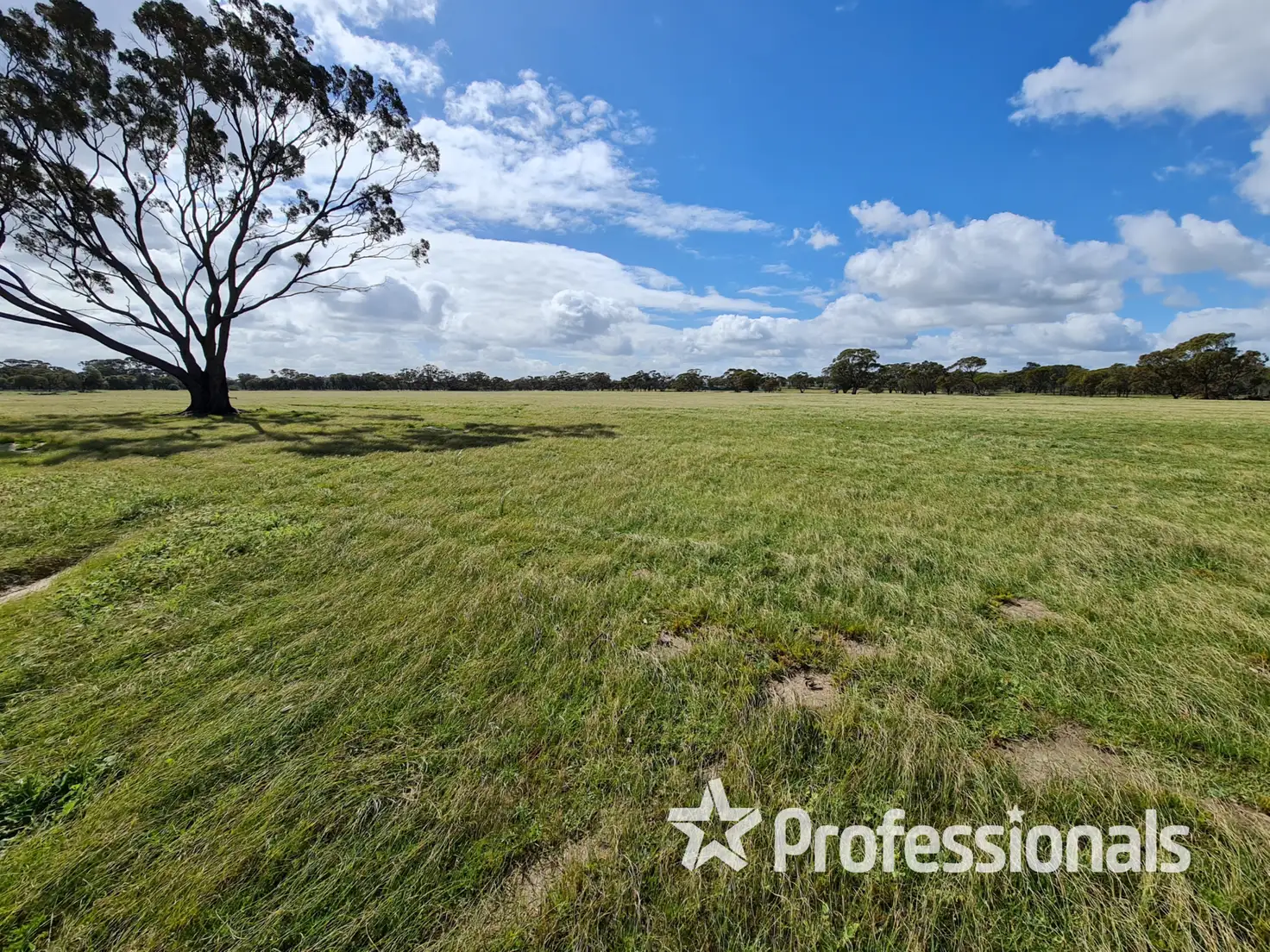 Main view of Homely rural property listing, Address available on request