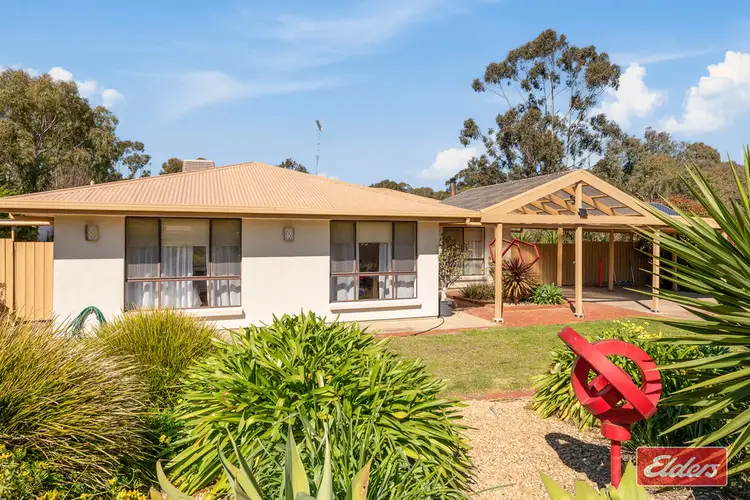 Main view of Homely house listing, 51 Eva Street, Williamstown SA 5351