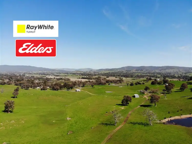 128 Brungle Road, Tumut NSW 2720