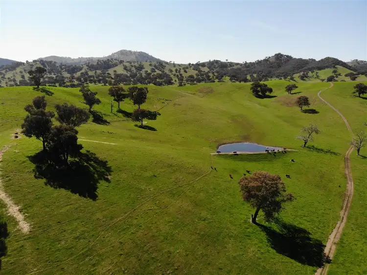Seventh view of Homely house listing, 128 Brungle Road, Tumut NSW 2720