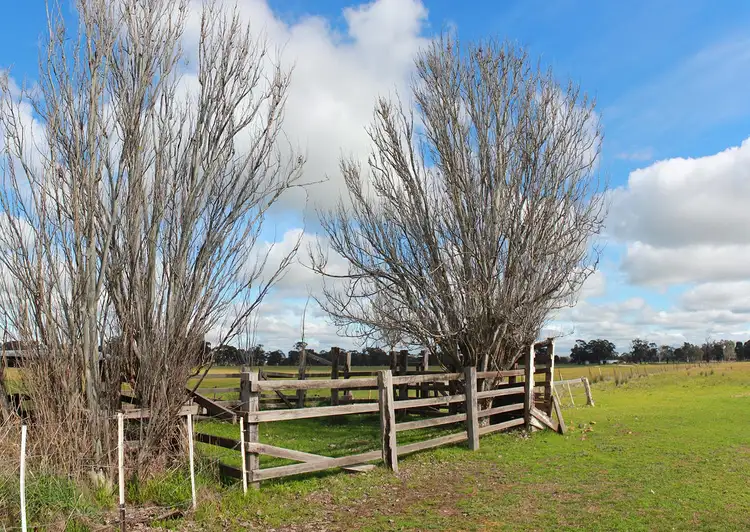 Third view of Homely land listing, LOT 1 Mcdiarmids Roads, Violet Town VIC 3669