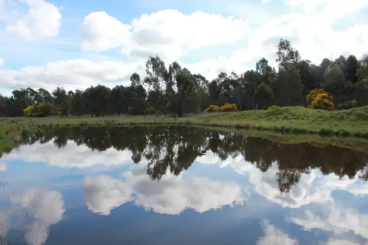 Fifth view of Homely land listing, LOT 1 Mcdiarmids Roads, Violet Town VIC 3669