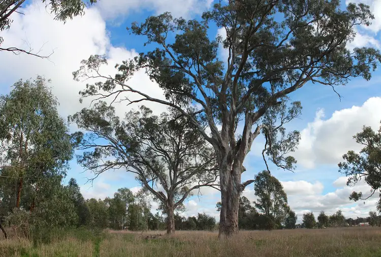 Sixth view of Homely land listing, LOT 1 Mcdiarmids Roads, Violet Town VIC 3669