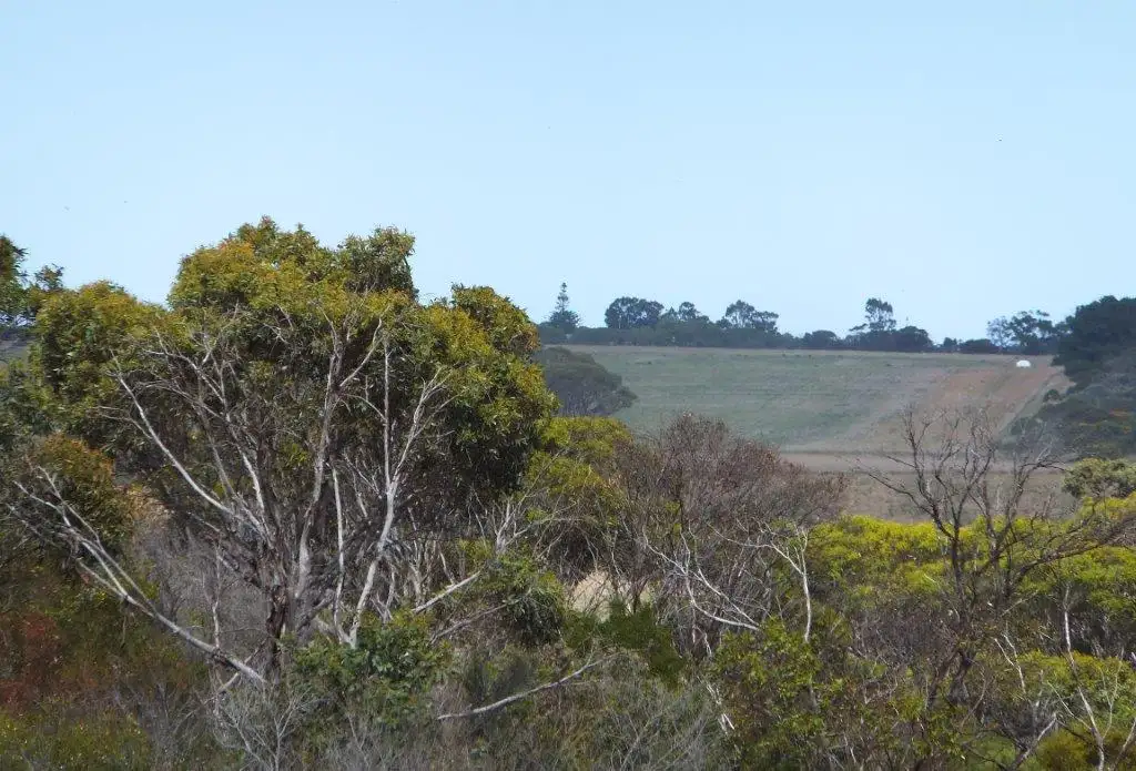 Main view of Homely land listing, 10 Orchid Rd, Hopetoun WA 6348