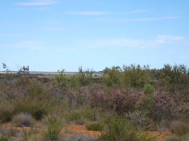 Fourth view of Homely land listing, 10 Orchid Rd, Hopetoun WA 6348