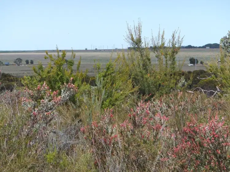 Fifth view of Homely land listing, 10 Orchid Rd, Hopetoun WA 6348