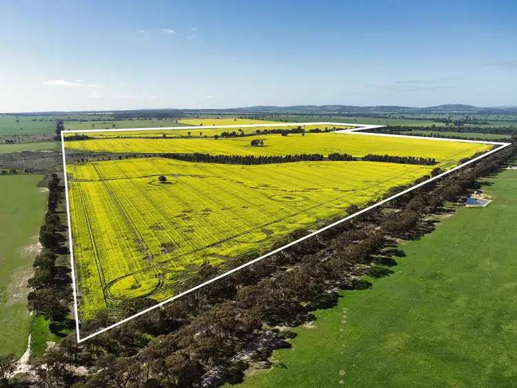 Main view of Homely rural property listing, 0 Stawell - Avoca Road, Greens Creek VIC 3387