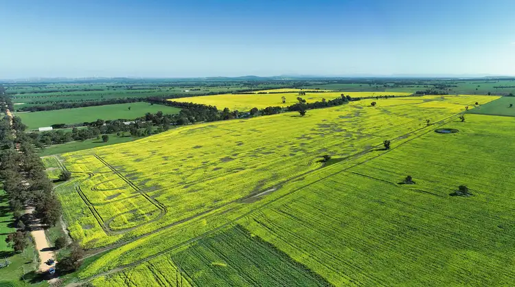 Third view of Homely rural property listing, 0 Stawell - Avoca Road, Greens Creek VIC 3387