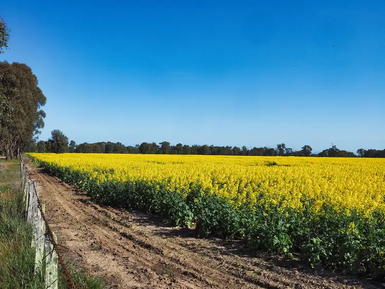 Fifth view of Homely rural property listing, 0 Stawell - Avoca Road, Greens Creek VIC 3387