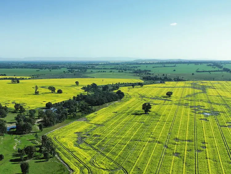 Seventh view of Homely rural property listing, 0 Stawell - Avoca Road, Greens Creek VIC 3387
