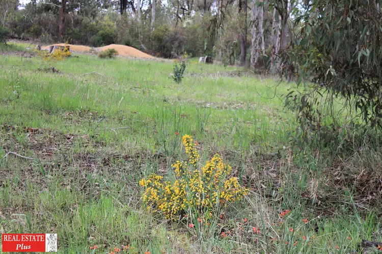 Seventh view of Homely land listing, 3145 Needham Road, Wooroloo WA 6558