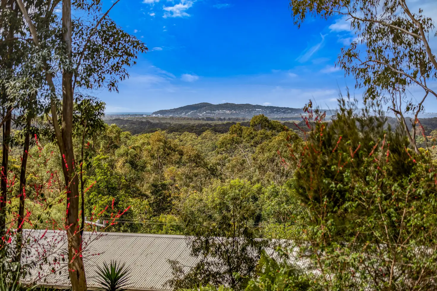 Main view of Homely house listing, 45 Wust Road, Doonan QLD 4562