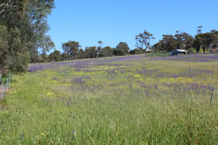 Second view of Homely land listing, 10 Moore St, Northam WA 6401