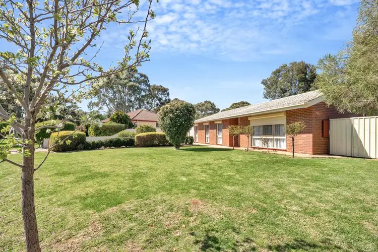 18 Marie Avenue, Morphett Vale SA 5162