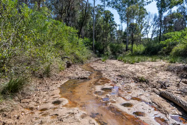 Third view of Homely rural property listing, Lot 213 Clearview Road, Coutts Crossing NSW 2460