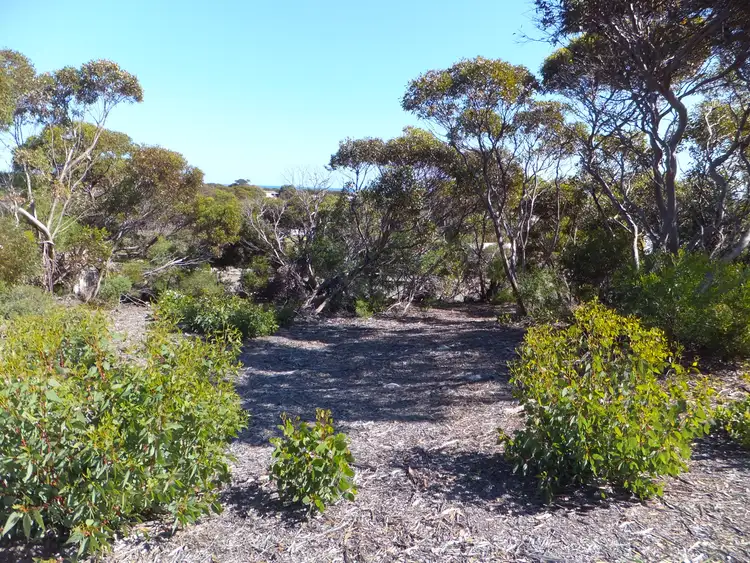 Fourth view of Homely land listing, LOT 29, 32 Wilkinson Street, Hopetoun WA 6348