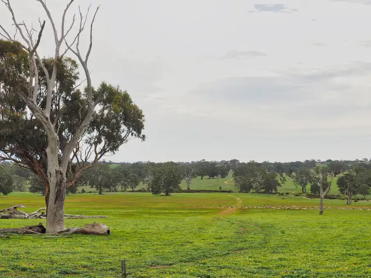 Sixth view of Homely rural property listing, 0 Joyce Road, Rhymney VIC 3377